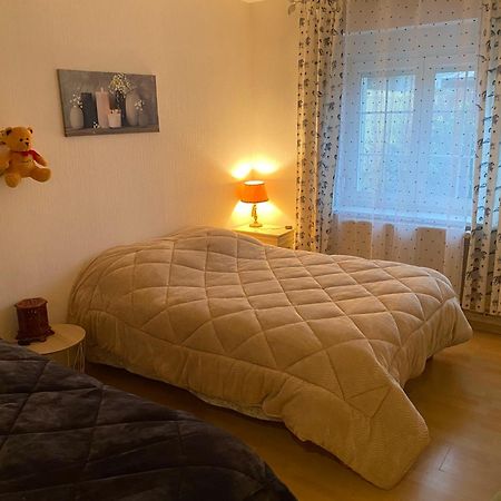 Апартаменты Au Coeur Des Vosges Laval-sur-Vologne Экстерьер фото