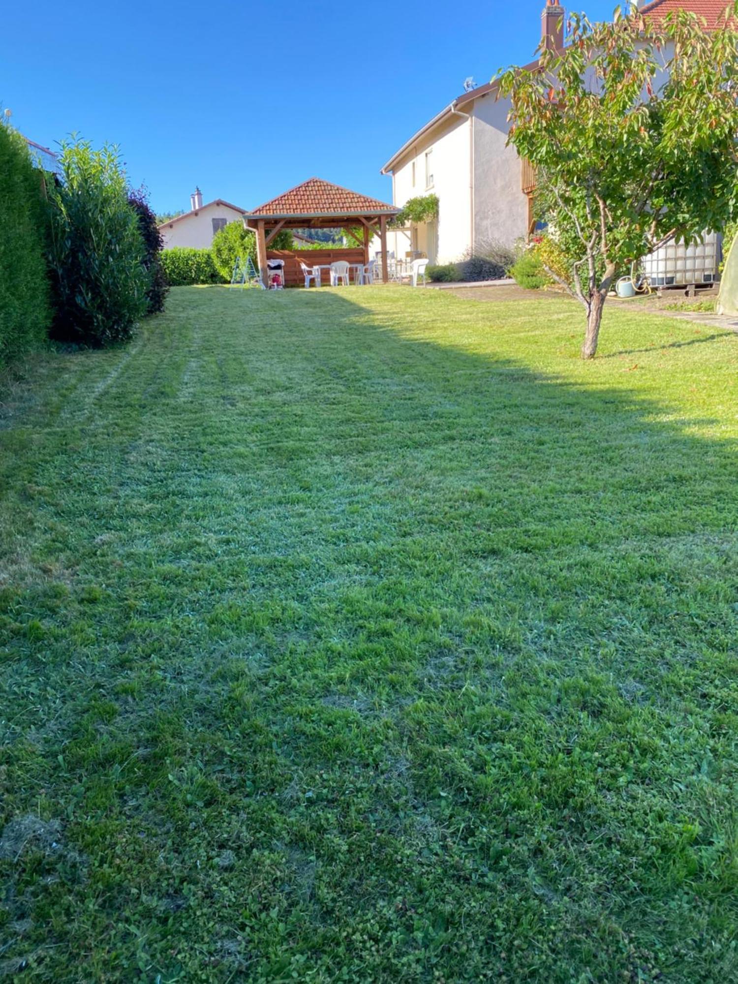 Апартаменты Au Coeur Des Vosges Laval-sur-Vologne Экстерьер фото